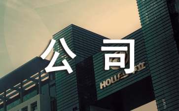 公司IT技術(shù)人員轉(zhuǎn)正申請(qǐng)書(shū)
